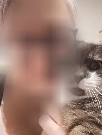 Lejla, 40